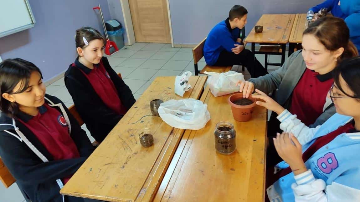 Bir Ağaç Bin Nefes